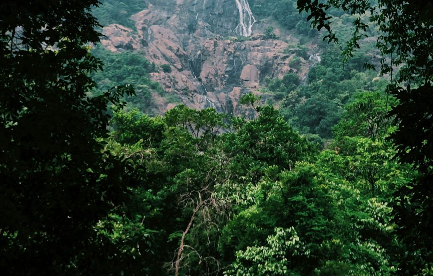 Dudh Sagar Tour